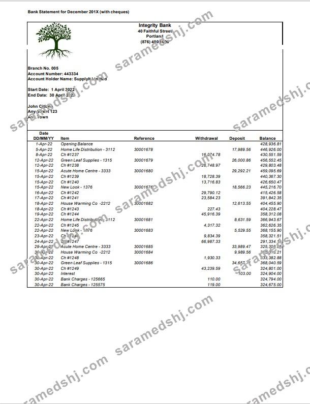 USA Integrity Bank statement Word and PDF template
